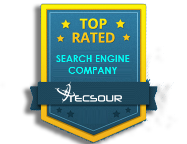 Website Designing Company Tecsour